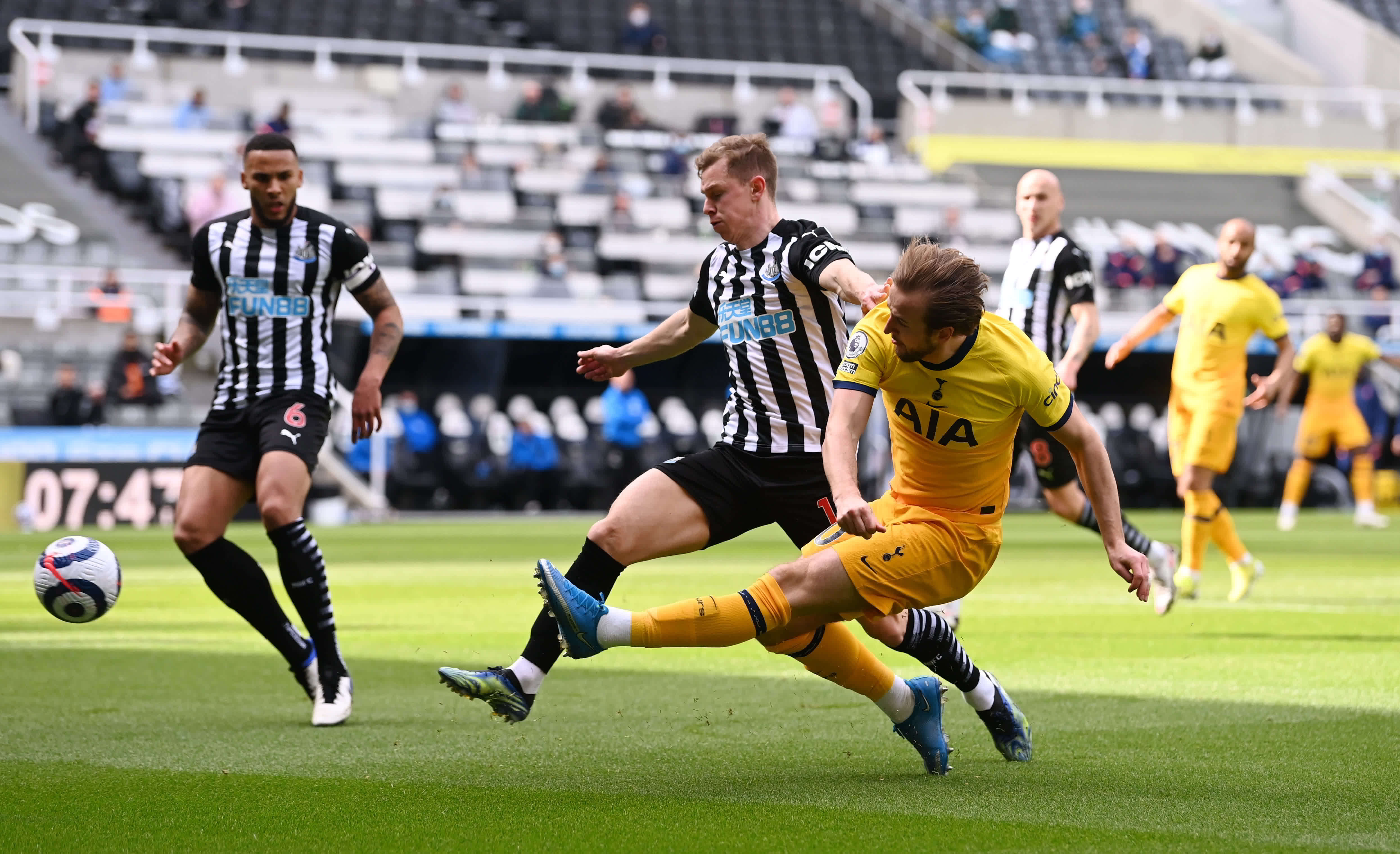 撕裂黄蜂的 撕裂黄蜂的