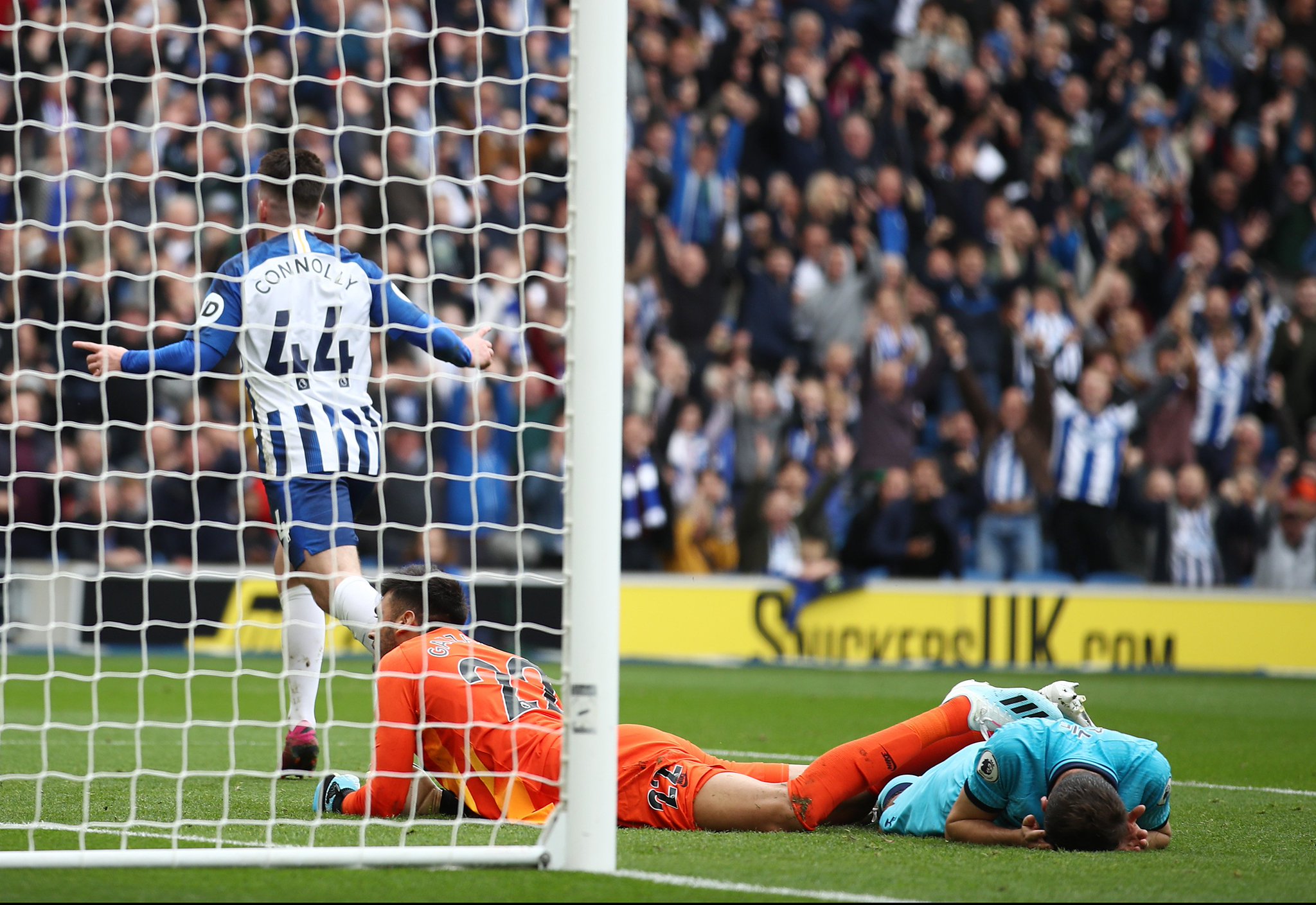 志早已显现 志早已显现